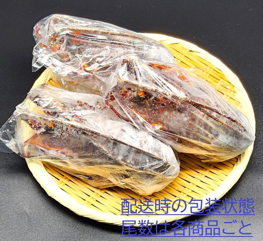 伊勢海老 ズワイセット ズワイガニ 海老 生 冷凍 天然 伊勢 海老 お