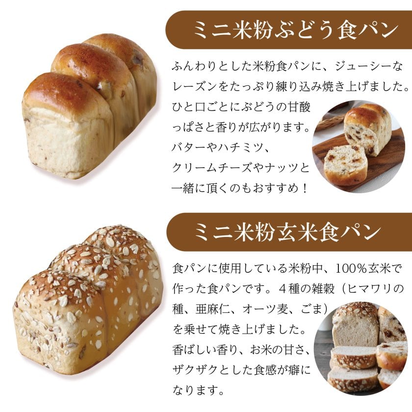 冷凍米粉食パン】 米粉食パン5種類バラエティセット 母の日 父の日