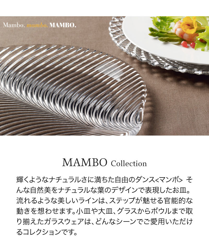 新品 ナハトマン サンバプレート 23cm 1枚 マンボプレート23cm 2枚 NACHTMANN正規販売 <マンボ> サラダプレート 23cm(2枚入) ☆無料