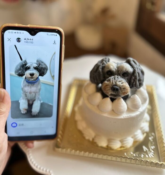 ノワールデコ3 わんちゃん用（犬）ケーキ 誕生日 お祝い - 【アトリエ