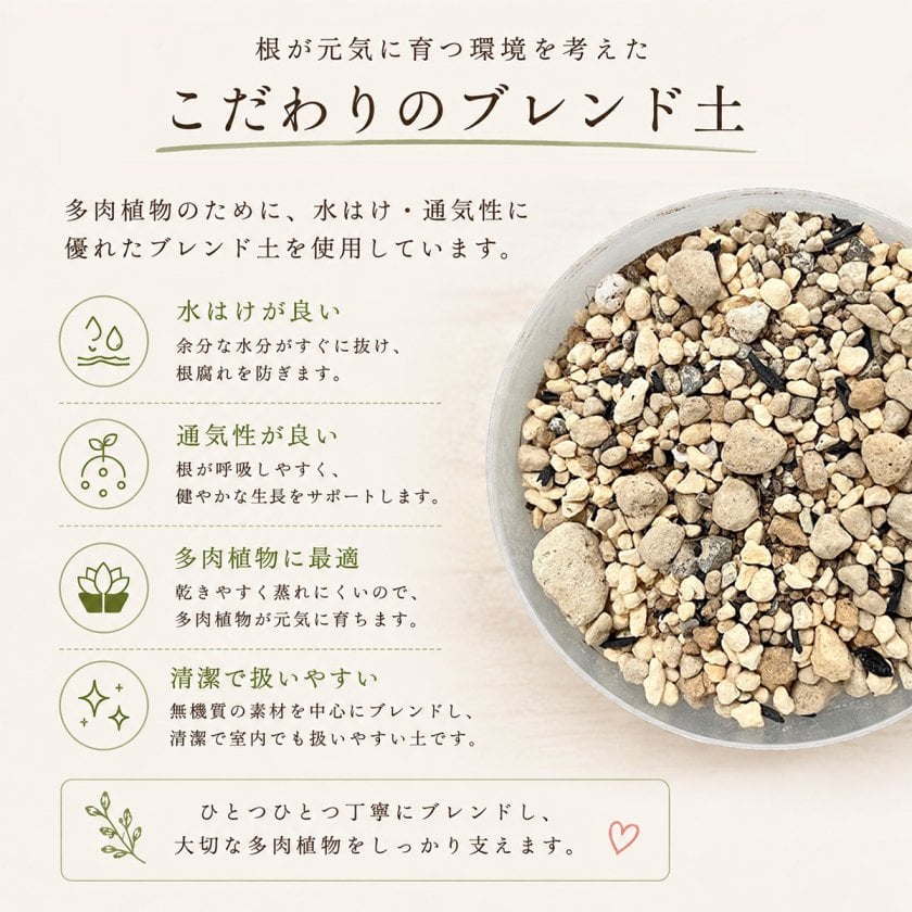 COCOMORI そのまま飾れる 多肉植物 ミニ 寄せ植え 約7.5cm×H約10cm