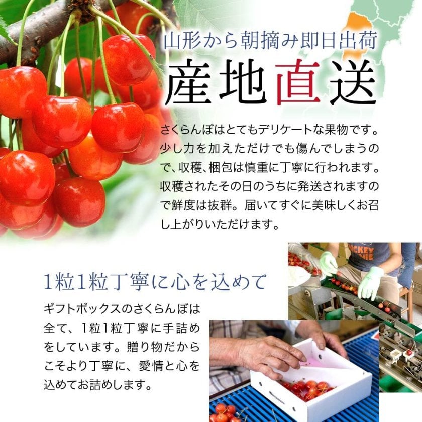 山形県産 さくらんぼ 秀品 佐藤錦・紅秀峰 ギフト - 【東北ハッピー