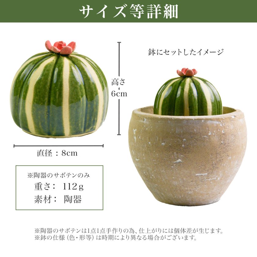 SERA SABO 陶器のサボテン 瑠璃兜 赤色 キットセット （鉢・ストーン付