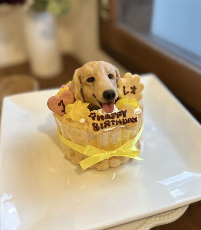さつまいものシャルロット 3 わんちゃん用（犬）ケーキ 誕生日 お祝い