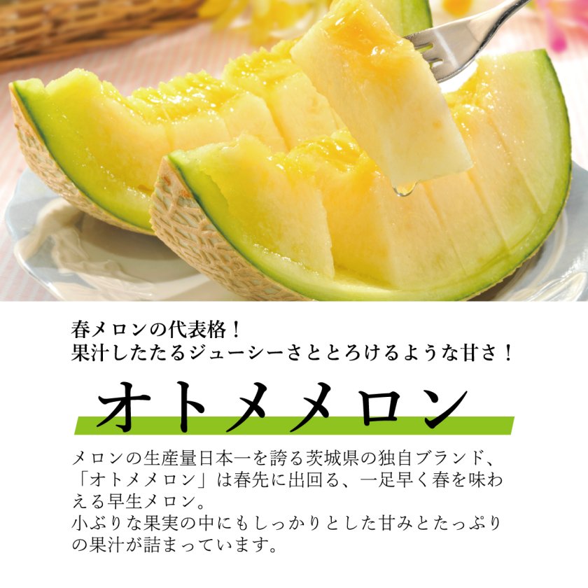 茨城県産メロン 赤肉・青肉・ミックス選択可 5～6玉 ギフト - 【東北