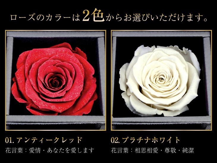 シアーズ ネックレスケース ジュエリーケース プリザーブドフラワー