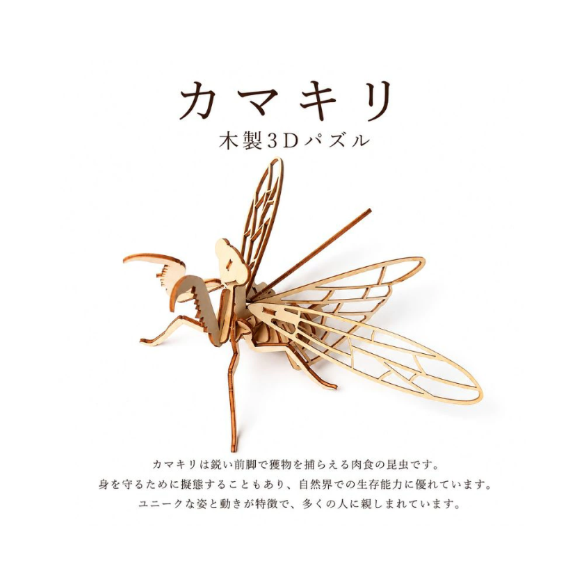 Oshkin Wooden Craft 木製　昆虫11点セット　フィギュア 8点セット 木製昆虫3Dパズル セミ 木製立体パズル DIY 工作 知育玩具