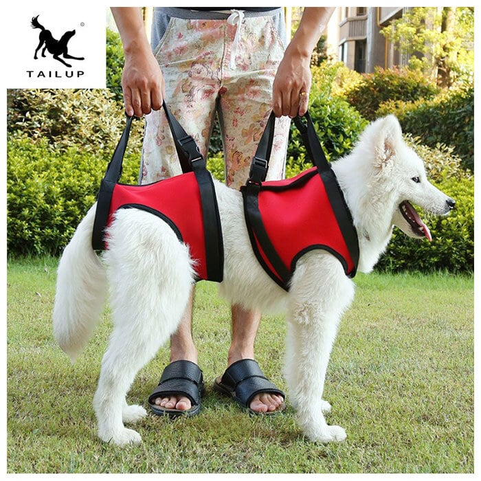 犬 介護 ハーネス 通販 老犬介護用品 歩行補助 介護ハーネス 大型犬 