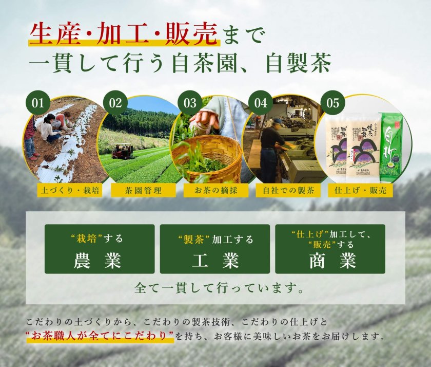 栗原製茶 八女茶 八女伝統本玉露『匠』50g×2本セット【送料無料】玉露