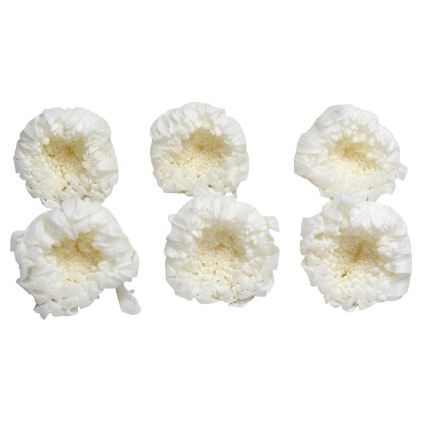 大地農園！ プリザーブドフラワー 「輪菊・中 白 6輪(1箱)」プリザ