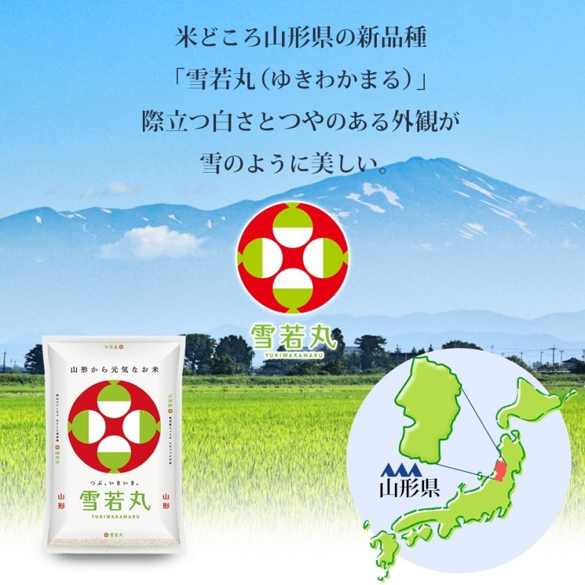 つや姫・雪若丸 各5kgセット (計10kg) 山形県産 令和8年産 - 【阿部