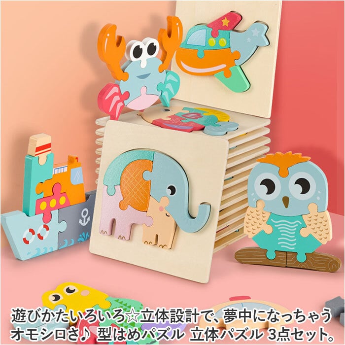 型はめパズル 立体 木の玩具 3個セット 通販 形合わせ ブロック パズル