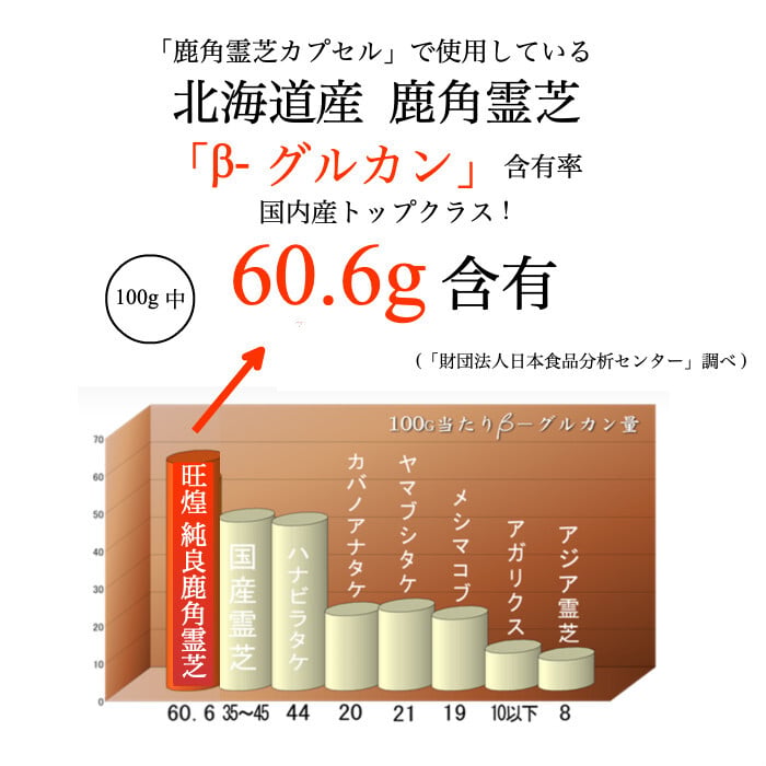 霊芝サプリ 鹿角霊芝カプセル120粒 北海道産 ※1ヶ月分 サプリメント