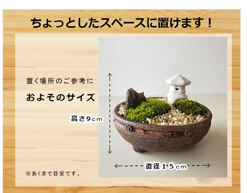 自分だけのコケボンサイの世界を創る【苔盆栽 信楽茶丸小紋鉢 灯篭三つ