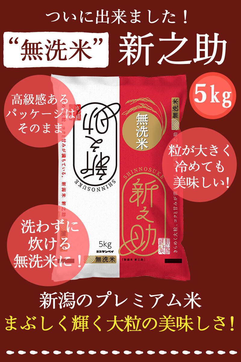 令和7年産 【無洗米】新潟産新之助 5kg お米 5キロ 送料無料(沖縄を