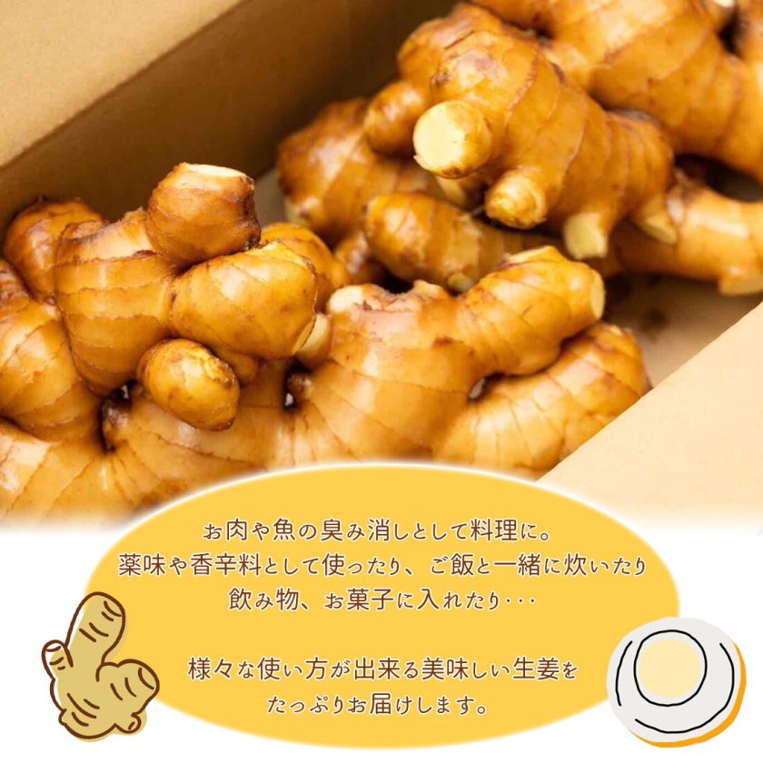 山北産直】 生姜 2kg 高知県産 国産 しょうが 農家直送 高知産