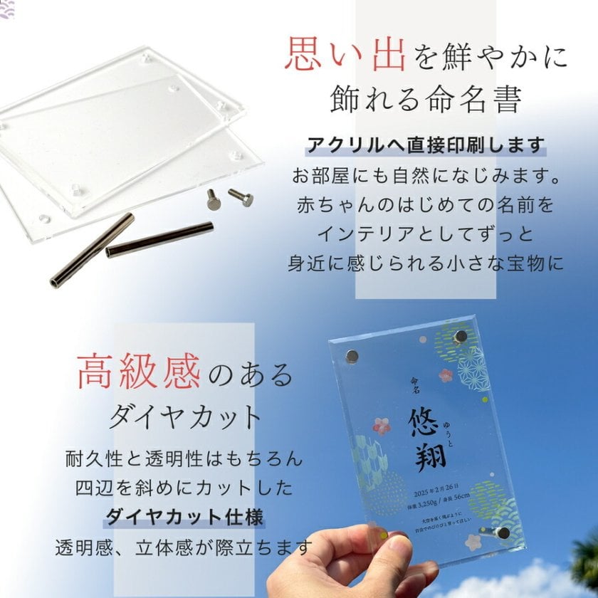 透明様 専用ページ(*´ω｀*) ちくわ様 専用ページ ちくわ様専用ページ