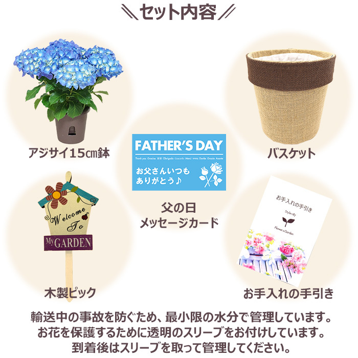 父の日 プレゼント ギフト アジサイ5号 ブルー系 バスケット 6月21日