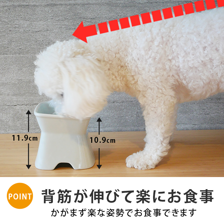 送料無料 名入れ name＆numberが入る 早食い防止 高台傾斜フードボウル