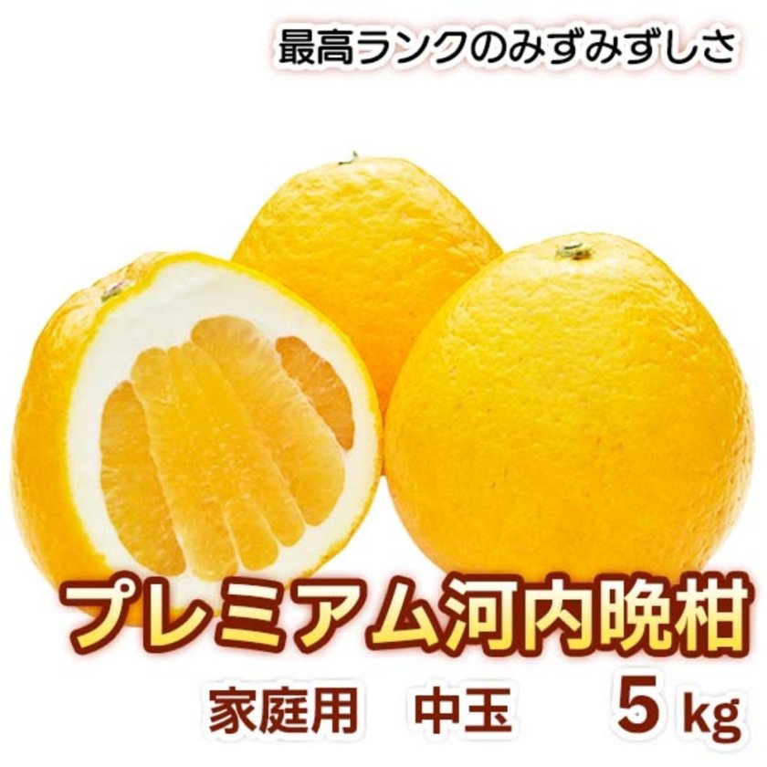 プレミアム河内晩柑【樹齢20年限定！】5kg（優品）L/2L/3Lサイズ別