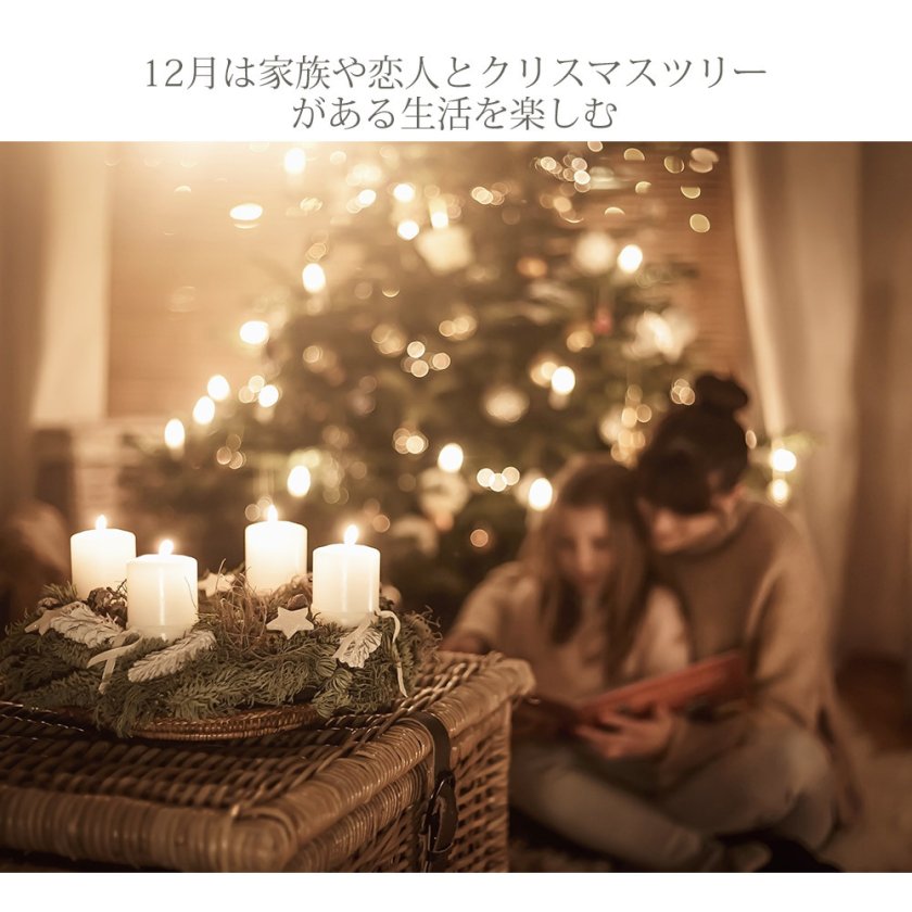 Branch Trees クリスマスツリー R 210cm 赤い実と松ぼっくり付(3種の枝
