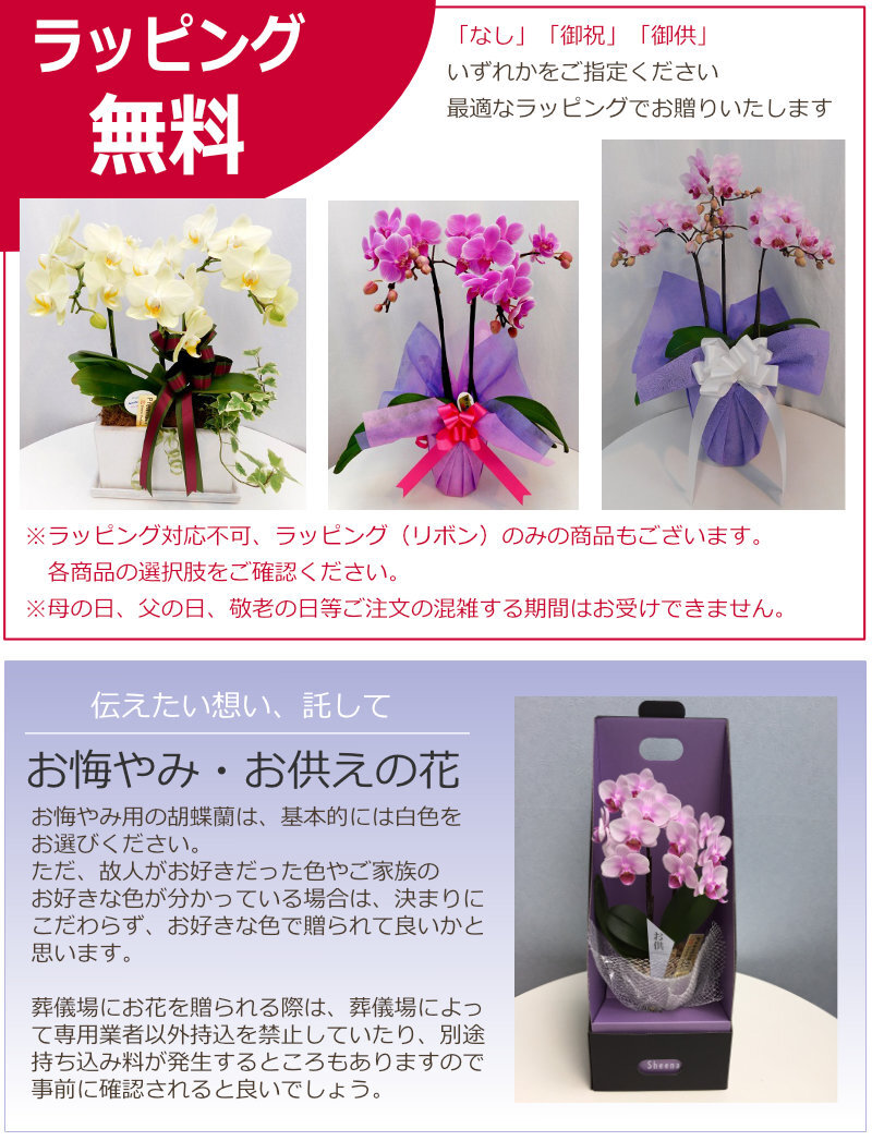 ベルフラワー様専用。ベルフラワー様以外は購入ご遠慮ください 