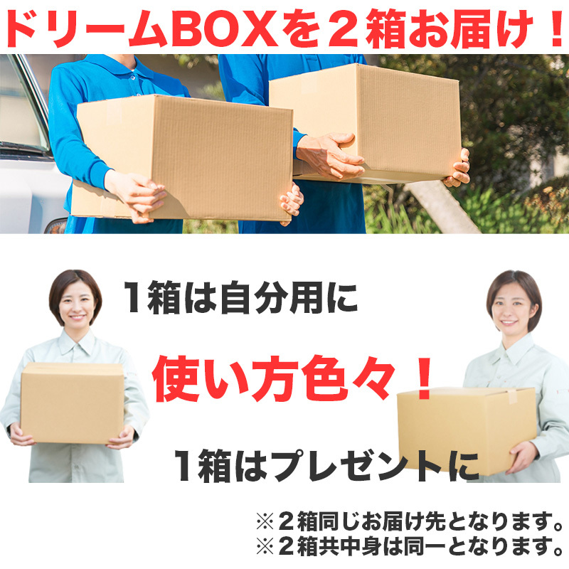 お菓子 詰め合わせ 送料無料 ダブルドリーム 子供 駄菓子 スナック菓子