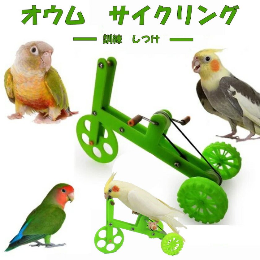 三輪車 小鳥 インコ オウム 自転車 しつけ 訓練 学習 遊び ストレス