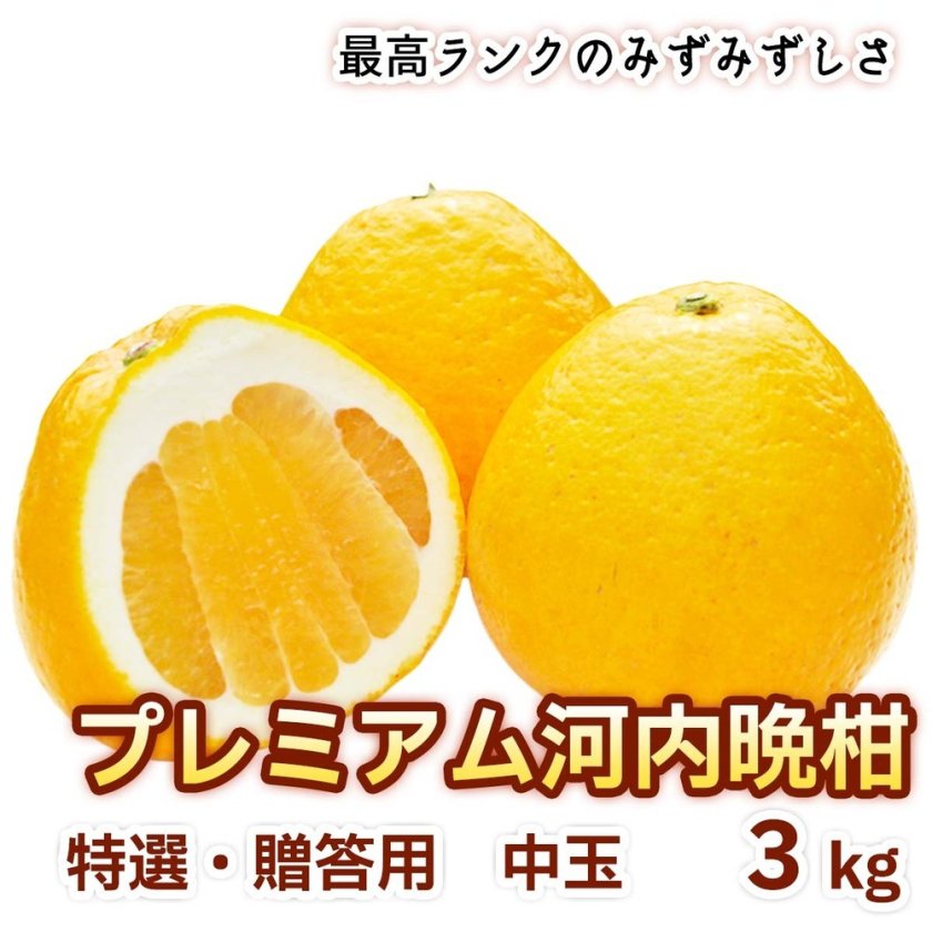 3月上旬～7月下旬発送】プレミアム河内晩柑【樹齢20年限定！】3kg