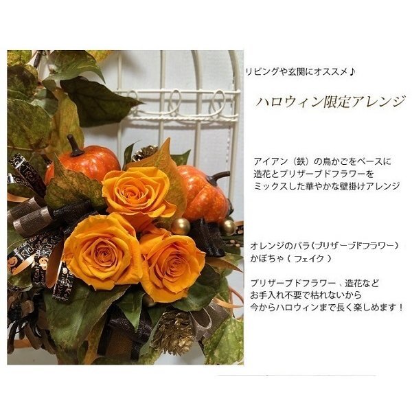 鳥かごにアレンジしたおしゃれなハロウィン壁掛け 壁掛け ハロウィン