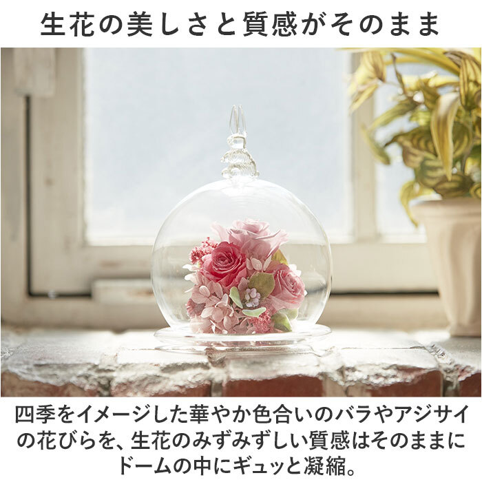 プリザーブドフラワー ガラスドーム 通販 フラワーアレンジメント