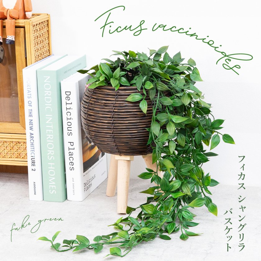 グリーンギフト シャングリラ 足付き 丸型バスケットタイプ（フェイク