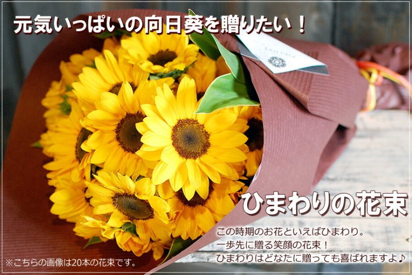 ひまわりの花束（50本）【夏季限定 花 ギフト 誕生日 花 ヒマワリ 
