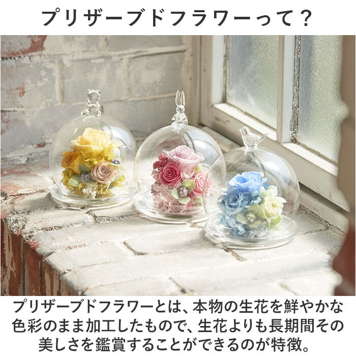 プリザーブドフラワー ガラスドーム 通販 フラワーアレンジメント