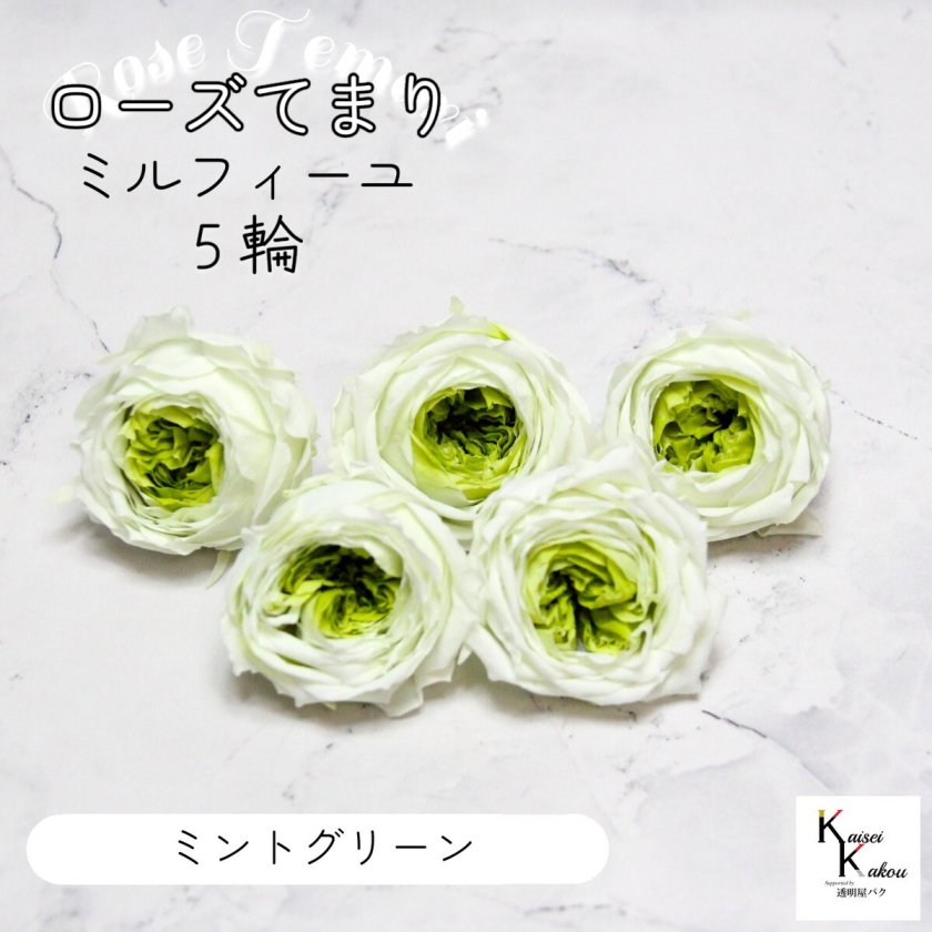 大地農園！プリザーブドフラワー 「ローズ・てまり・ミルフィーユ