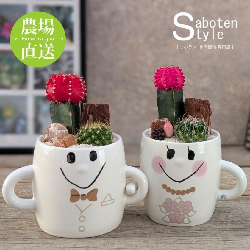 結婚祝い】ペアのサボテン寄せ植え スマイルファミリー ウェディング 結婚祝い】ペアのサボテン寄せ植え スマイルファミリー ウェディング