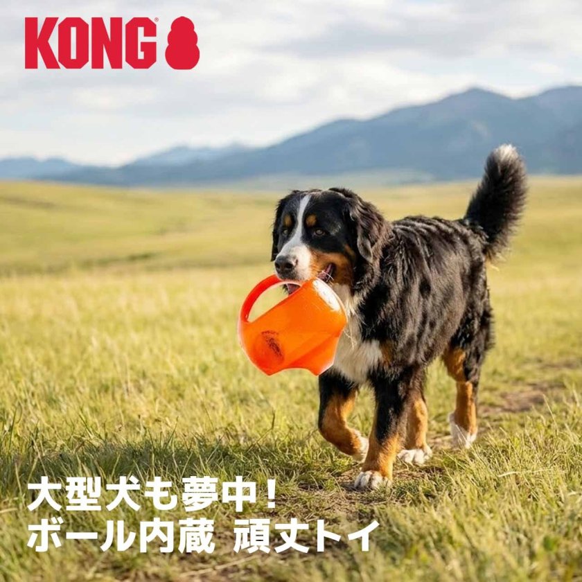 KONG コング ジャンブラー ボール L/XLサイズ 犬用 おもちゃ 大型犬 超