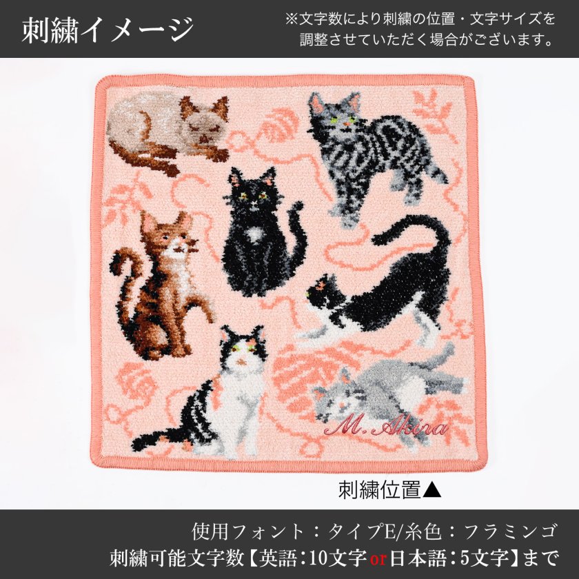 フェイラー新品未使用プティバス キャットB品タオルハンカチ 名入れ無料】フェイラー FEILER ハンカチ ハンドタオル 25cm