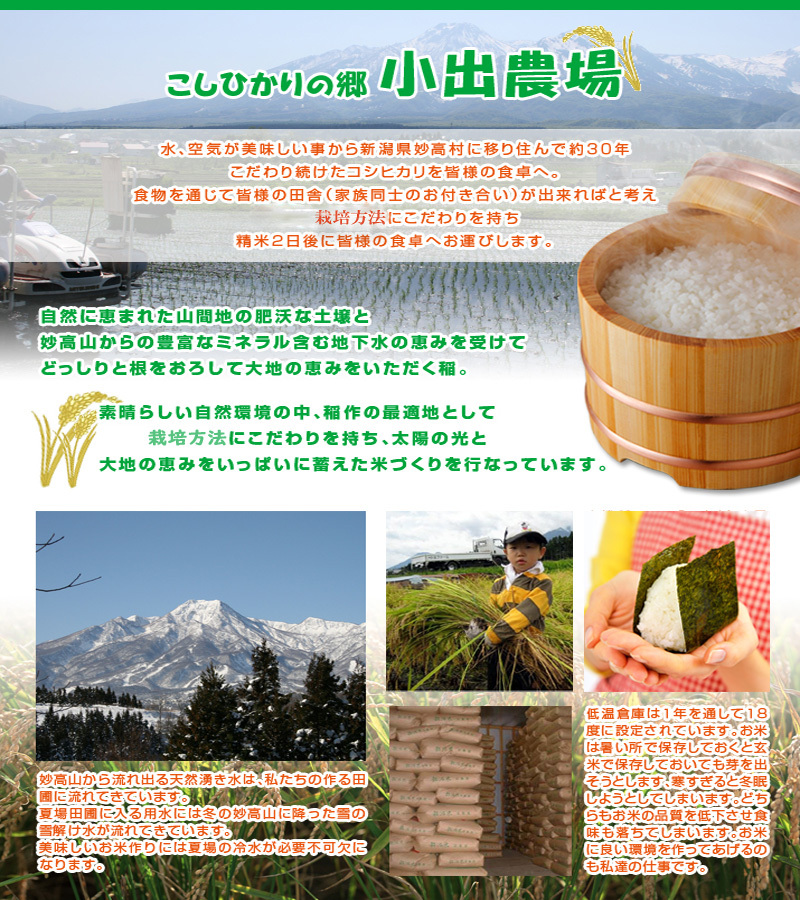 コシヒカリ 30kg 新潟県産 こしひかり 30kg まとめ買い 新潟県産 