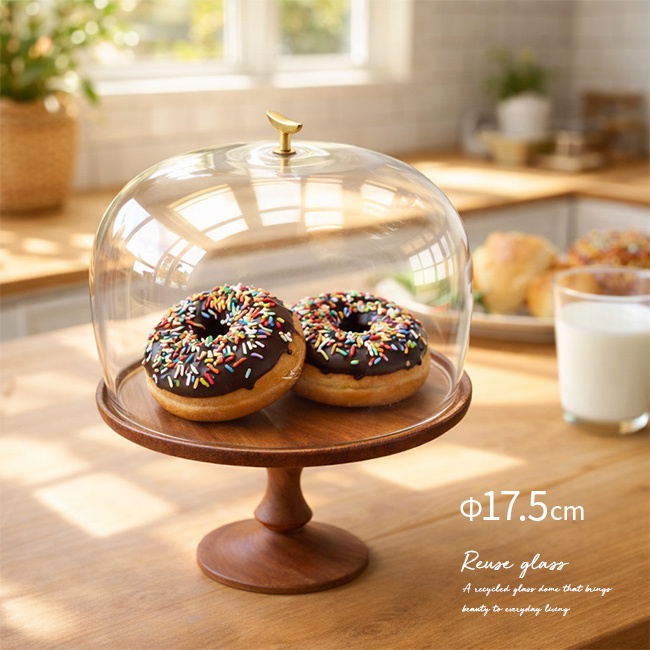 shesay リューズガラスのガラスドーム Lサイズ[ガラスドーム ケース