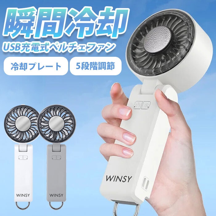 風＋冷却プレート”で瞬間クール！首掛け・卓上OKの多機能ハンディ