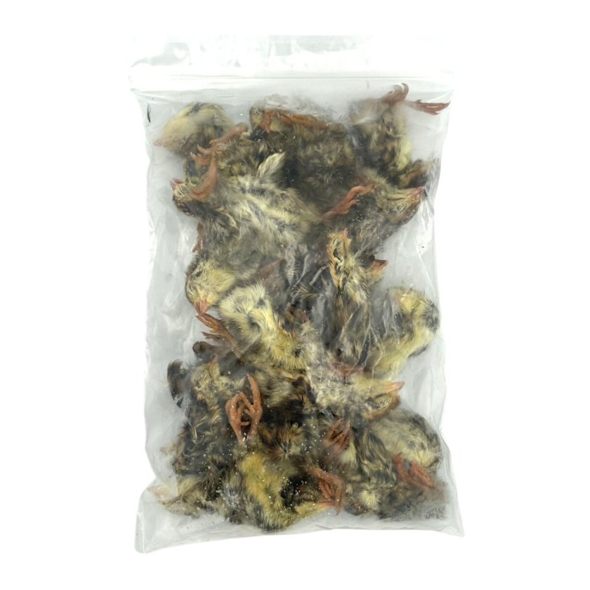 冷凍ウズラ5kg×5段【送料込】 国産 冷凍 ヒナウズラ 5羽」 ヒナウズラ ウズラ 冷凍ヒナウズラ 冷凍
