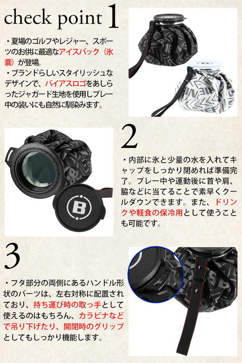 ブリーフィング 氷嚢 氷のう アイスバッグ アイシング 保冷 BRIEFING