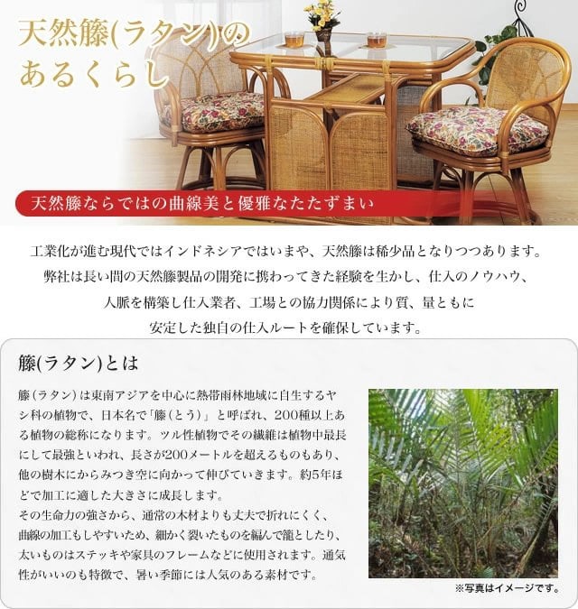 ラタン ソファ ハイバックカウチ 幅120cm 完成品 同柄クッション2個