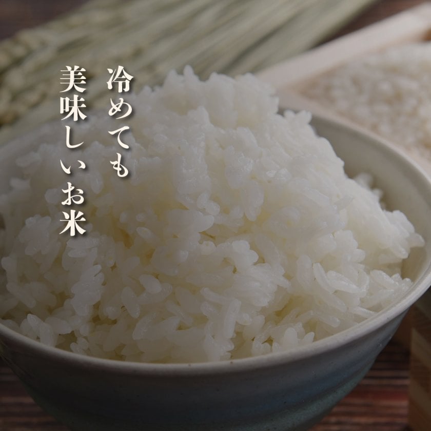宮城県産 ひとめぼれ お米 10kg】10キロ 精米 白米 おくさま印 食品