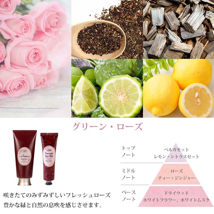 サボン SABON ローシャンプ ヘアミルク ギフトセット シャンプー