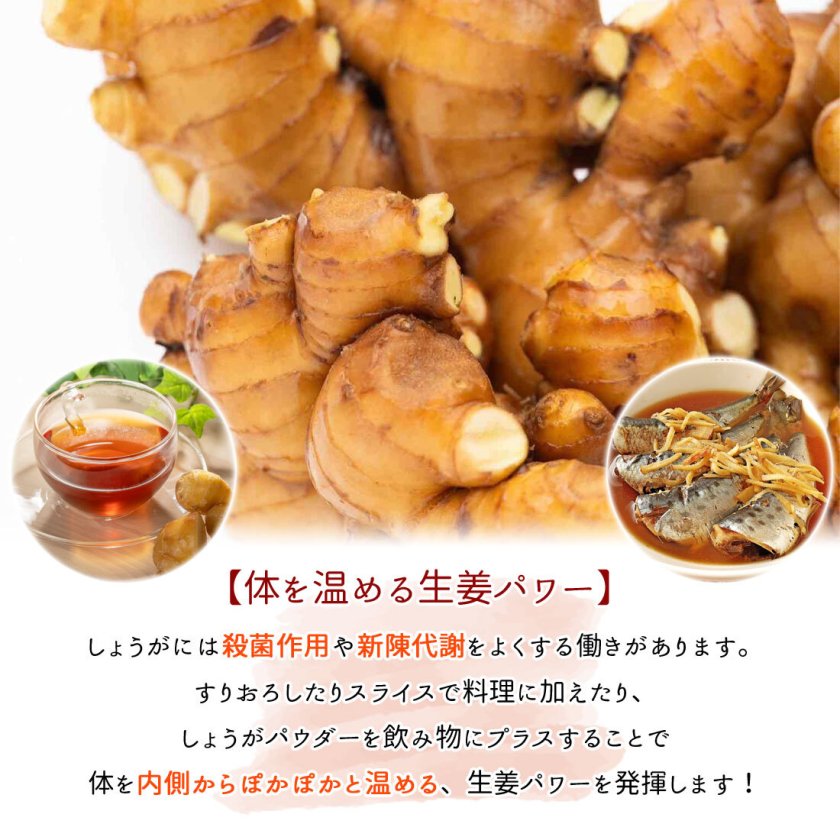 山北産直】 生姜 1kg 高知県産 国産 しょうが 農家直送 高知産