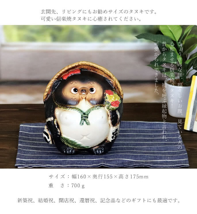 信楽焼 たぬき 置物 高さ17.5cm 陶器 縁起物 6号丸福々狸 メス ta-0333