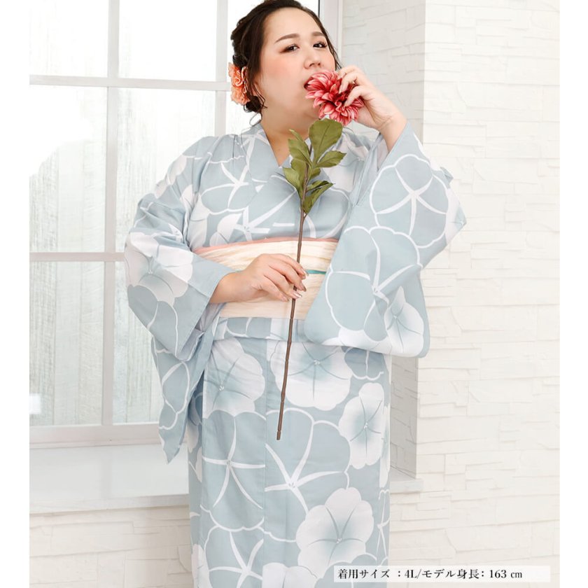 浴衣 大きいサイズ レディース ゆかた 大人 浴衣単品 3L 4L