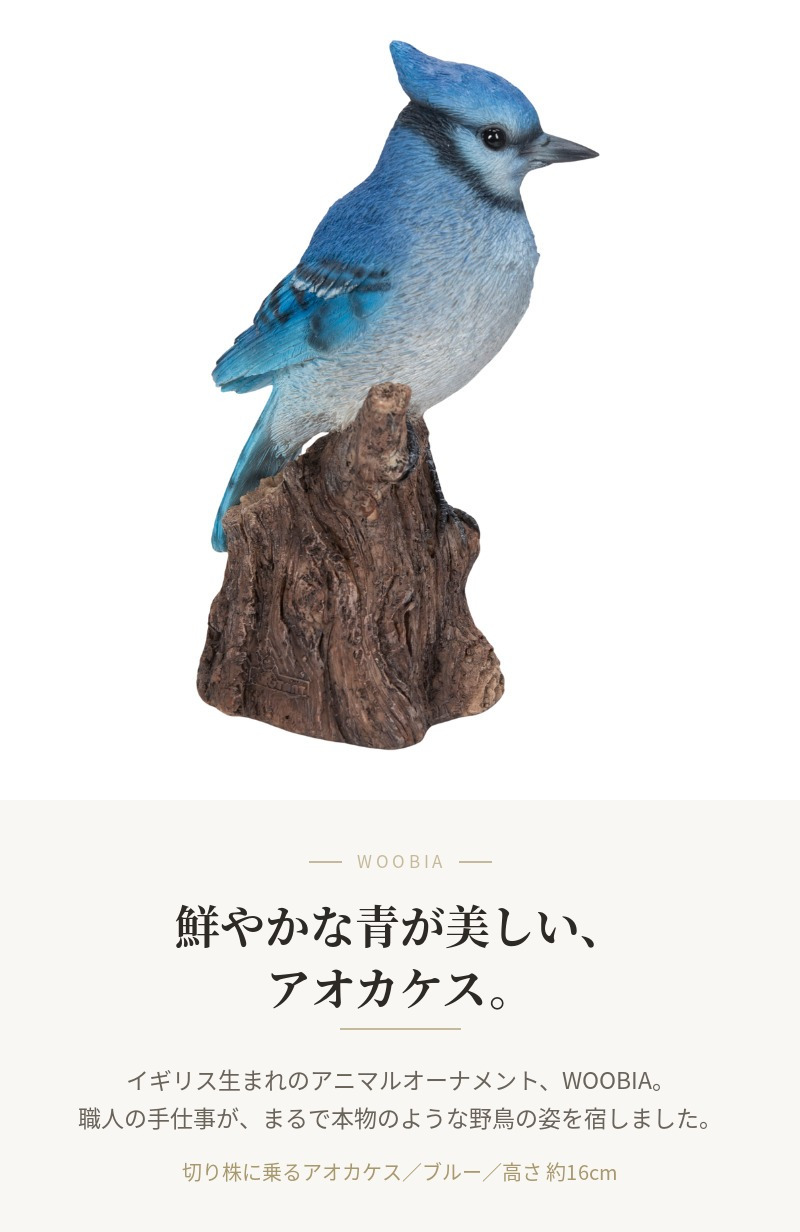 置物 鳥 アオカケス 高さ16cm woobia ウービア 野鳥 リアル おしゃれ